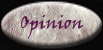 opinion.jpg